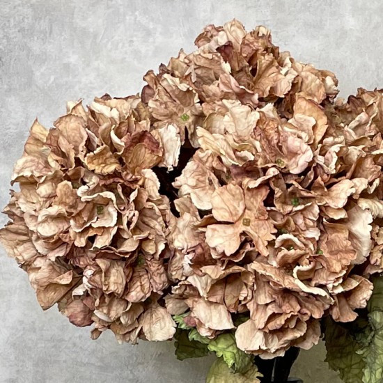 FAUX DRIED HYDRANGEAS CAPPUCCINO | BASIC FLOWER BOUQUET