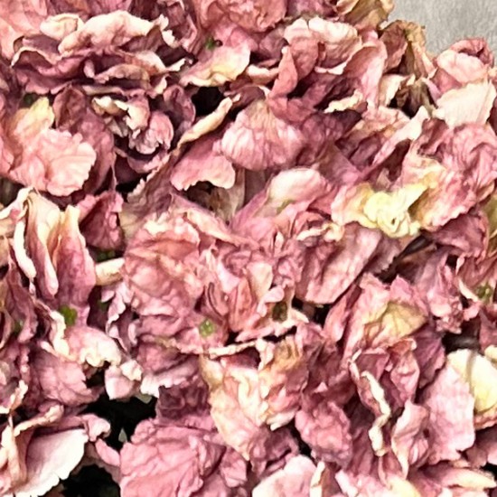 FAUX DRIED HYDRANGEAS DUSKY PINK | BASIC FLOWER BOUQUET