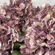 FAUX DRIED HYDRANGEAS MAUVE | BASIC FLOWER BOUQUET