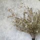 FAUX LIMONIUM NEUTRAL | BASIC FOLIAGE BOUQUET