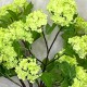 FAUX VIBURNUM GREEN | BASIC FLOWER BOUQUET