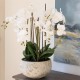 LARGE FAUX ORCHID IN CLAY POT | ARTIFICIAL FLOWER ARRANGEMENTS