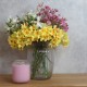 SPRING QUARTET | NARCISSI DOG ROSE WAXFLOWER HELLEBORES BOUQUET