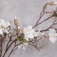 SWEET MAGNOLIAS | MAGNOLIA BOUQUET