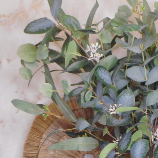 G'DAY POSSUM | EUCALYPTUS BOUQUET